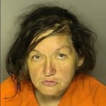 Lee Jane Giving False Information To Law Enforcement