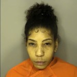 Savinon Valdez Pamela Cristal Public Disorderly