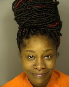 Adgerson Consuela Sierra Symone Unlawful Neglect Of Child Or Helpless Person By Legal Custodian Failure To Appear Interfering With Operation Of School Bus