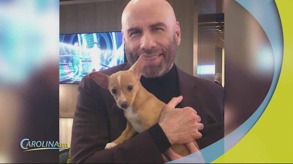 John Travolta