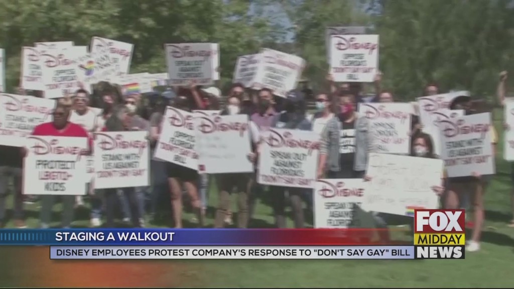 Disney Protests