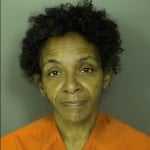 Brown Cheryl Lashawn Poss Conceal Sell Or Dispose Of Stolen Vehicle Breach Of Trust
