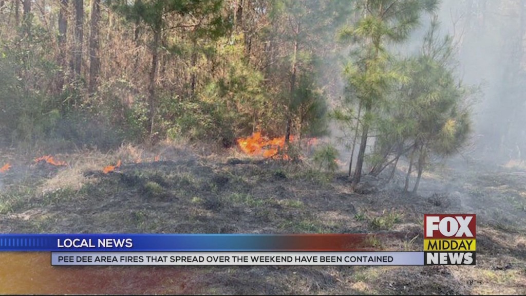 Fires In Loris