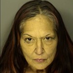 Stclair Shannon Leigh Possession Of Marijuana