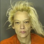 Morinitti Hill Jessica Rose Burglary Giving False Information To Law Enforcement
