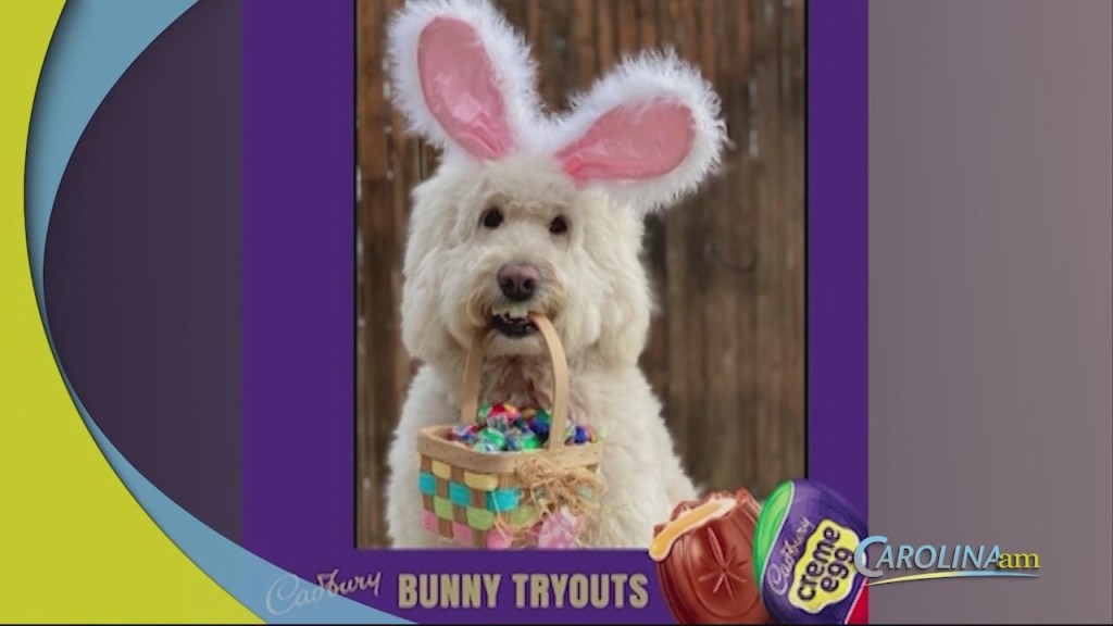 Cadbury