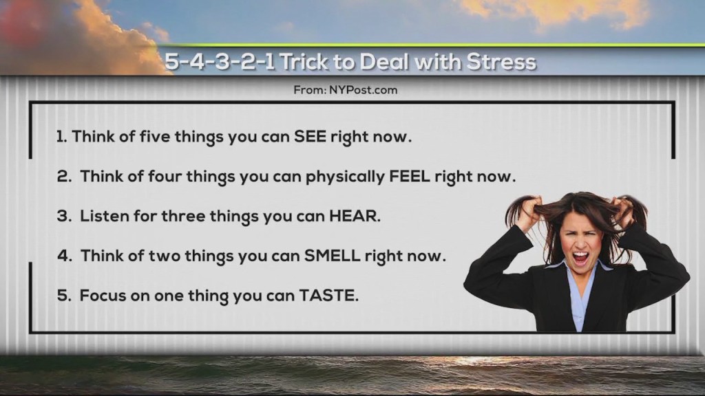 Cam 0325 Stress Hack