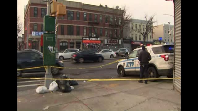 Ny: Womans Body Parts Found In Brooklyn