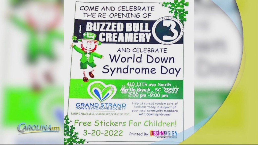 Cam 0314 Buzzed Bull