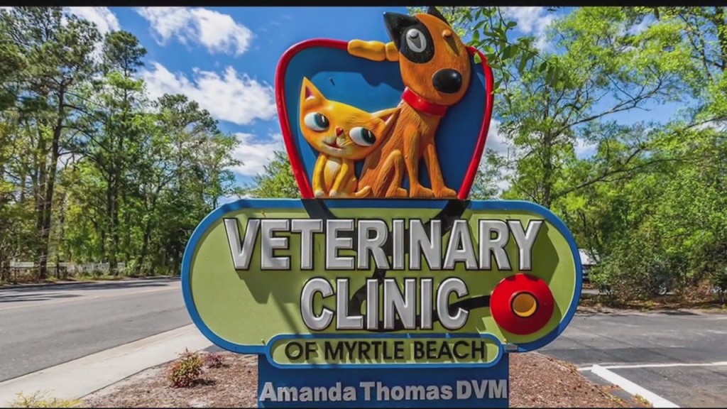 Vet 2