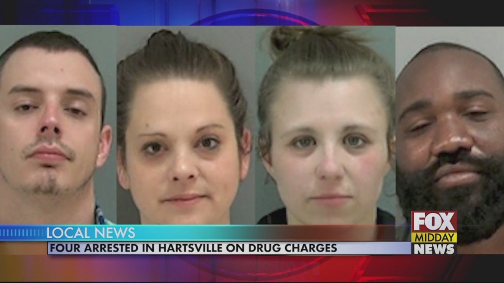 Hartsville Drugs