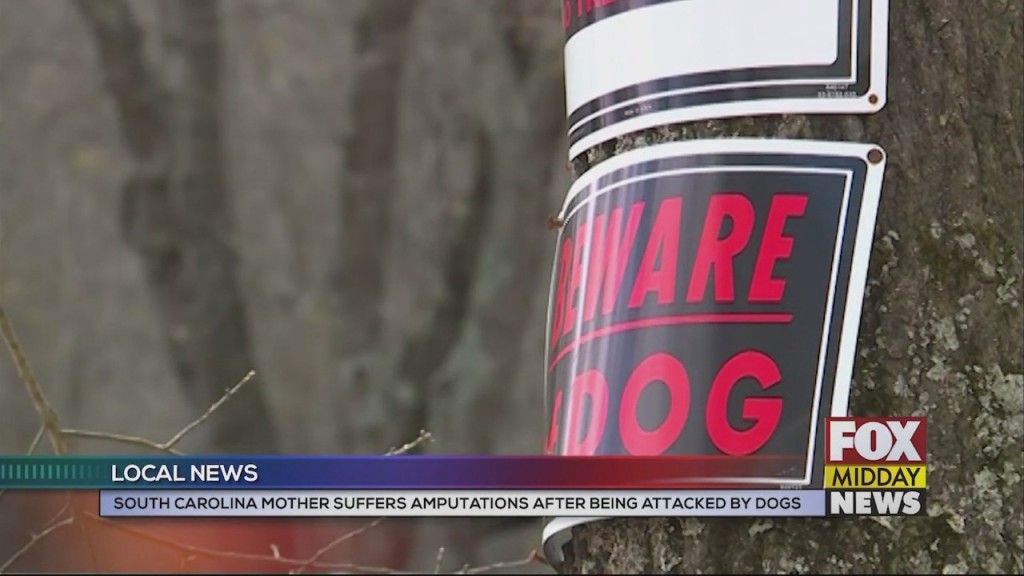 Dog Attack