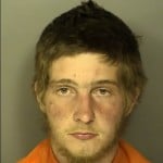 Harrison Christopher Austin Unlawful Carrying Of Pistol