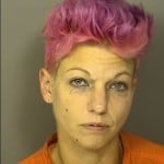 Anderson Anna Marie No Charges Listed