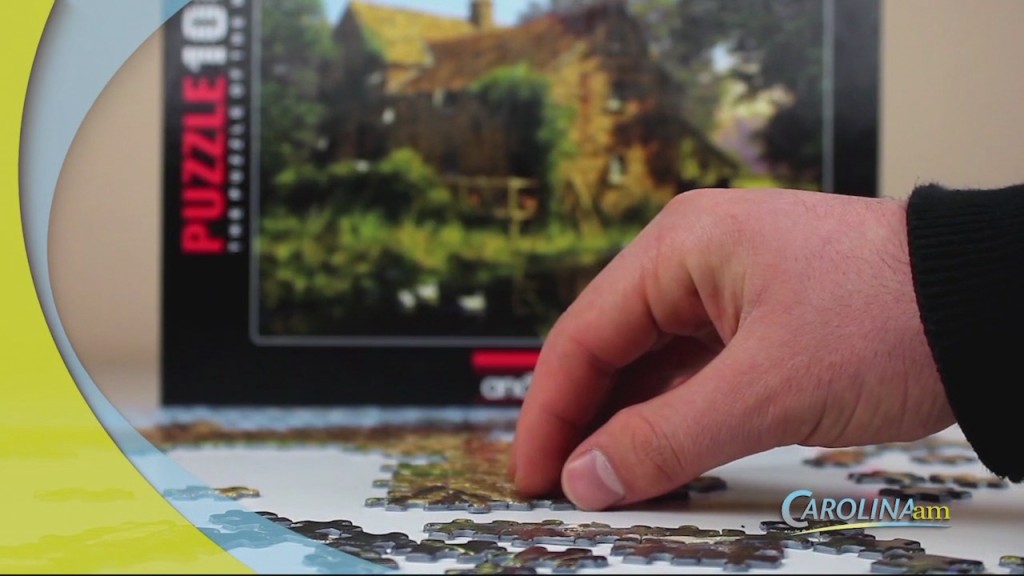 Cam 0407 Puzzles
