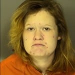 Swisher Jennifer Nicole Public Disorderly