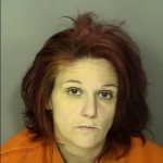 Auborn Heather Mary No Charges Listed