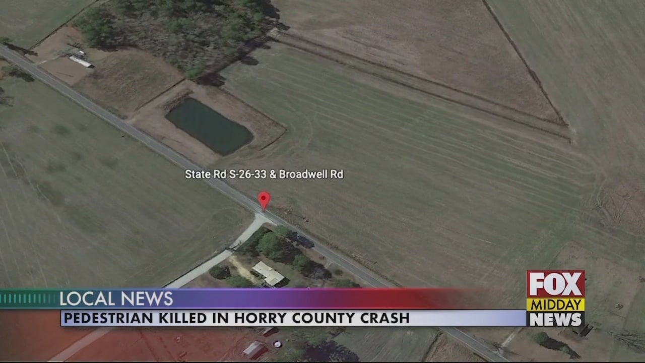 Pedestrian Killed in Horry County Crash - WFXB