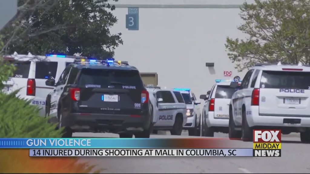 Gun Violence