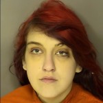 Short Angelica Marie Poss Lt One Gram Ice Crank Or Crackcocaine Poss Of Other Controlled Sub In Sched I To V Mdp Narcotic Drugs Shoplifting Under 2000