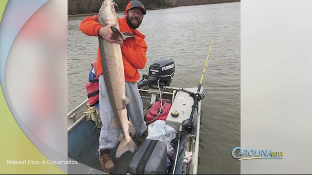 Mo Angler