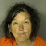 Lee Jane Disorderly Conduct