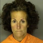 Dyer Jodi Lorraine Dui No Vehicle Registration In Possession Alcohol Open Container