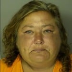Vogt Andrea Lynn Disorderly Conduct