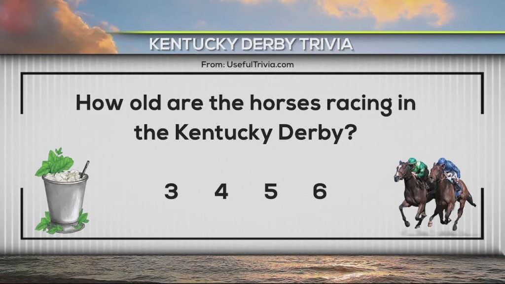 Cam 0506 Quiz