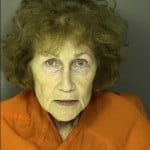 Baseggio Janet Public Disorderly