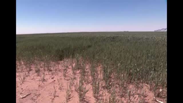 Farmers Under Increasing Pressure From Rising Prices