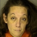 Vakalis Evanthia Driving Under Suspension Failure To Appear