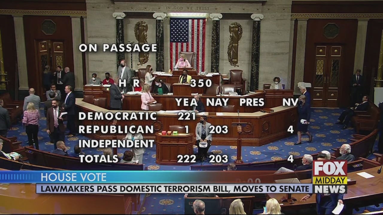 House Votes To Pass Domestic Terrorism Bill Bill Moves To Senate Wfxb 4084