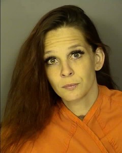 Hall Leslie Anne Unlawful Conduct Toward A Child