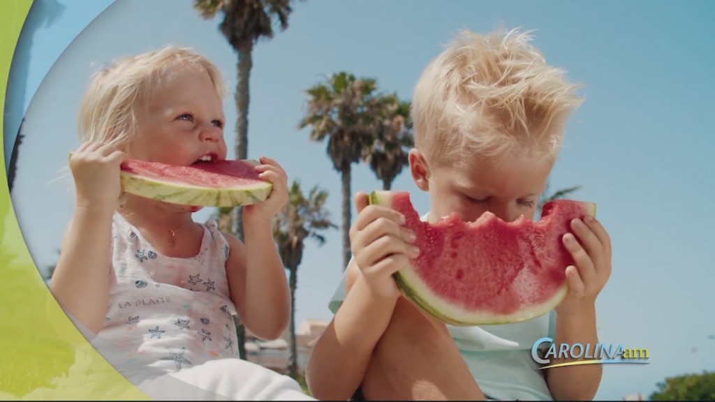 Cam 0607 Watermelon