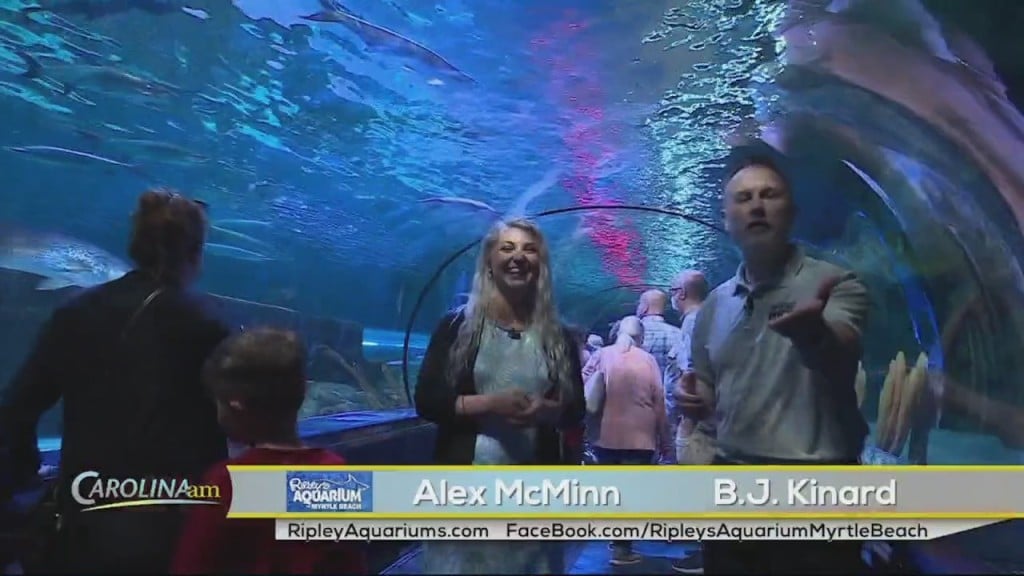 Cam 0603 Ripleys Aquarium
