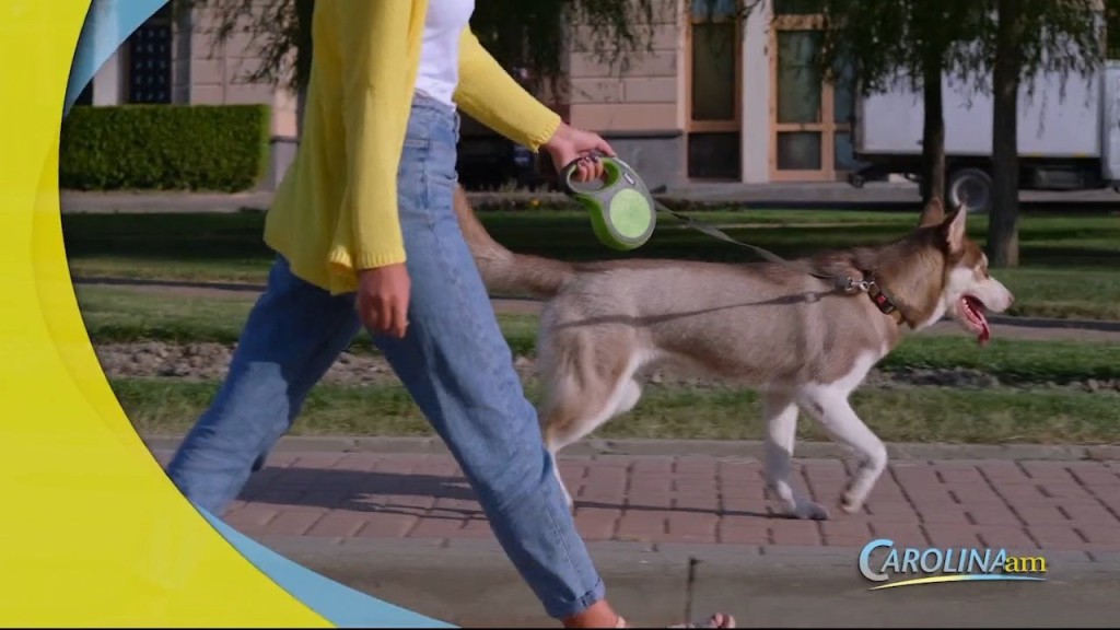 Dog Walking