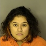Rivera Reina Elisavet Sleeping In Motor Vehicle Unlawful Carrying Of Pistol