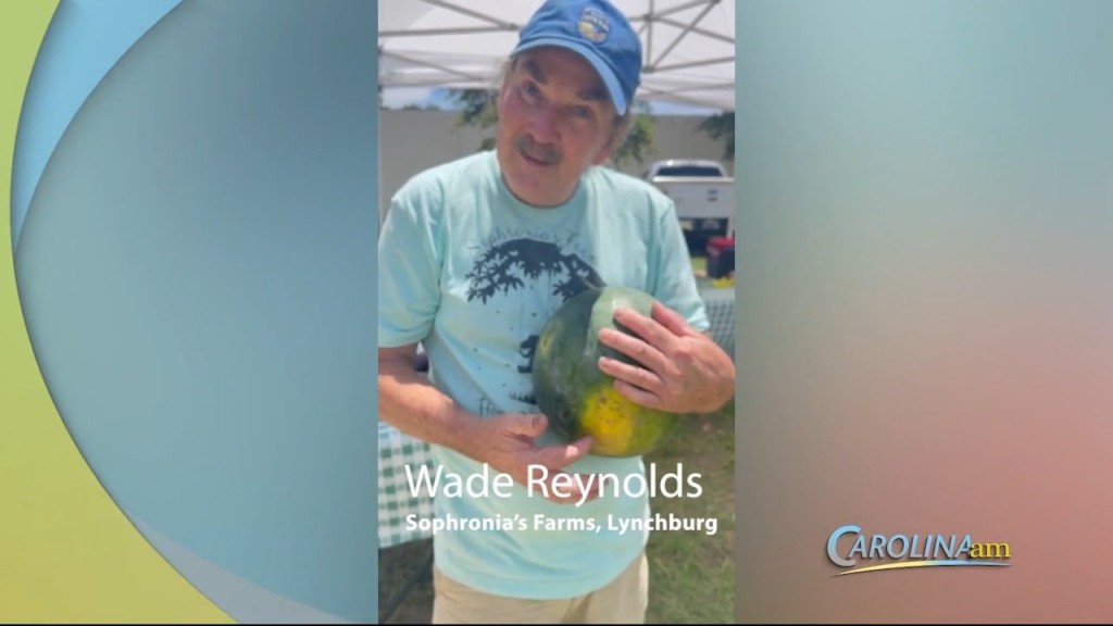 Cam 0714 Watermelon