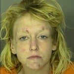 Moseley Stephanie Michelle Narcotics Being Under The Influence Of