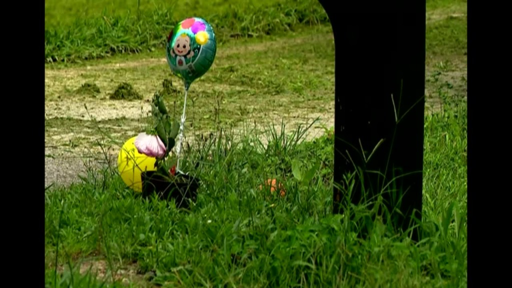 Sc: Teen Accused Of Kidnapping, Killing 4yo Sister