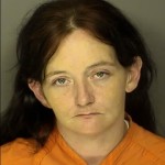 Roberts Carrie Ann Driving Under The Influence Shoplifting Under 2000