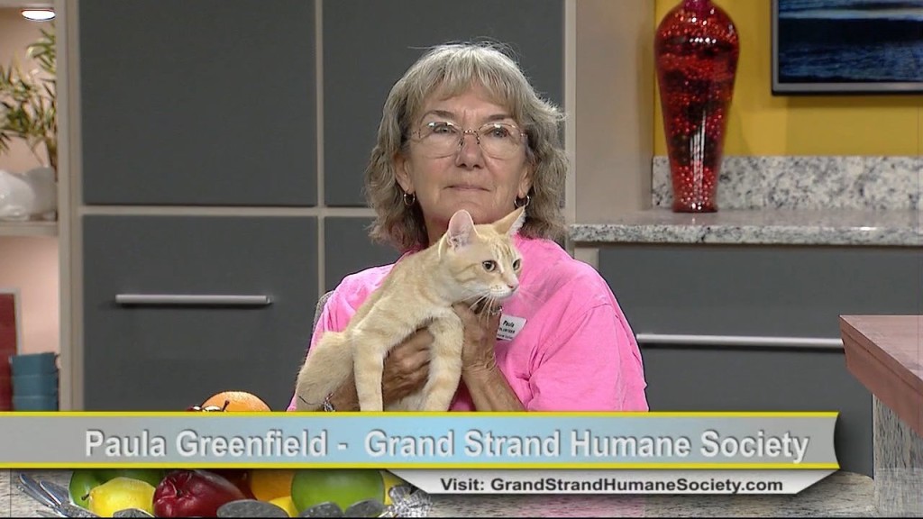 Cam 0708 Humane Society