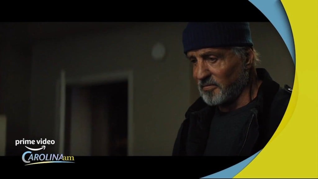 Cam 0728 Stallone