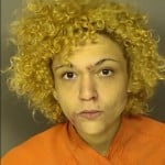Mason Samantha Rae Charges Listed