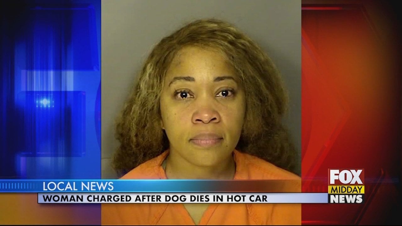 Woman Charged After Dog Dies in Hot Car - WFXB