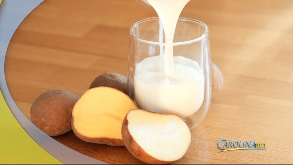 Cam 0720 Potato Milk