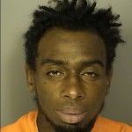 Wilson Tequenez Faisone Public Disorderly Conduct Generally