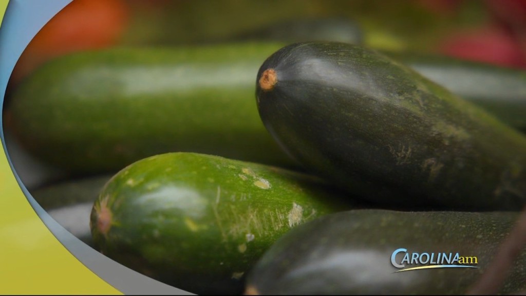 Zuchini