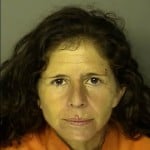 Suprano Jenine Lee Fraudulent Check Under 500 Breach Of Trust With Fraudulent Intent Under 2000